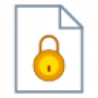 icons8_file_lock_yellow_64.png
